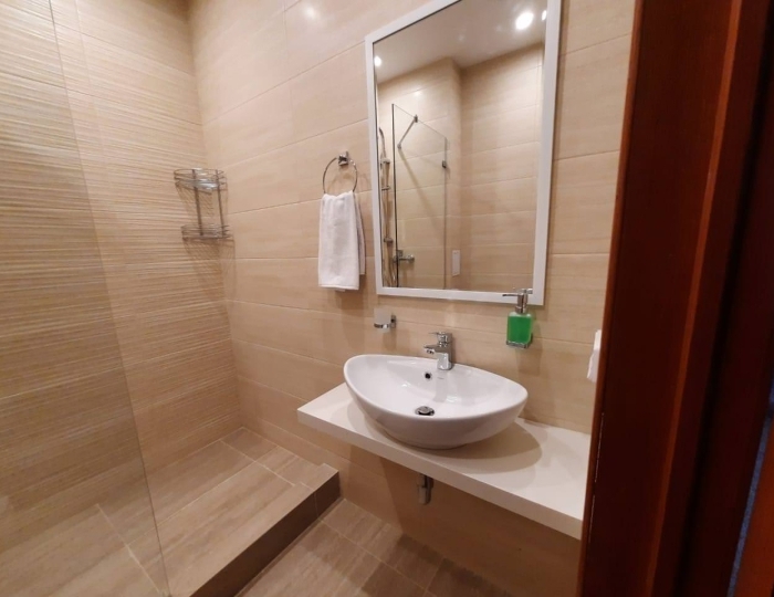 Номер делюкс с 1 двуспальной кроватью (с завтраком) - Санаторий «Родник» Амурск