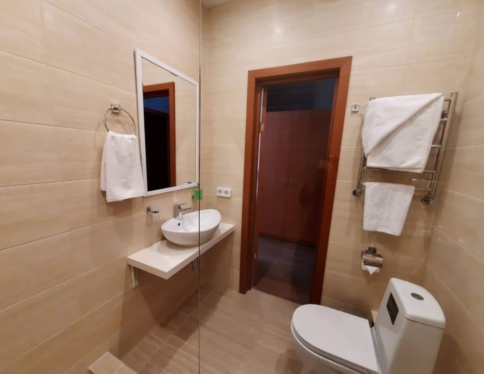 Номер делюкс с 1 двуспальной кроватью (с завтраком) - Санаторий «Родник» Амурск